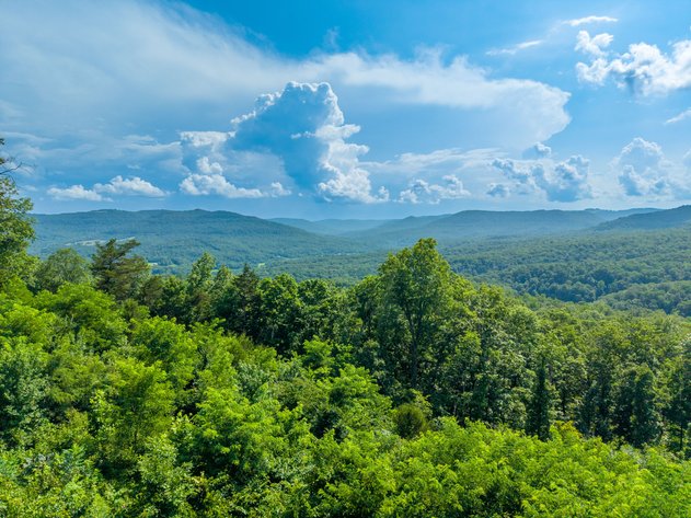BUFFALO RIVER VALLEY CABINS ONLINE ONLY AUCTION | JASPER, AR