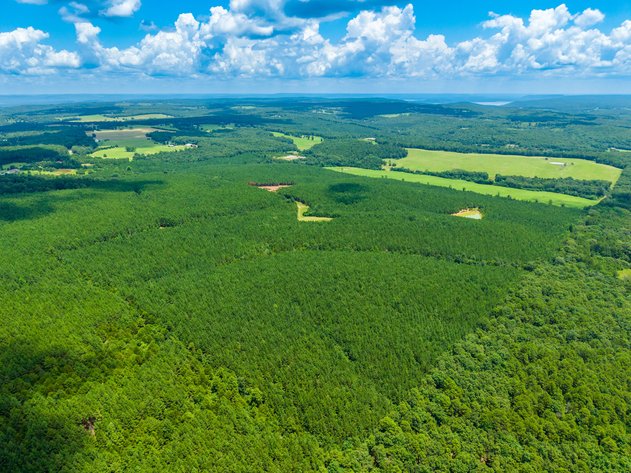 84± ACRE ONLINE ONLY LAND AUCTION | QUITMAN, AR
