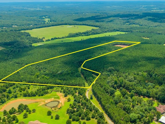84± ACRE ONLINE ONLY LAND AUCTION | QUITMAN, AR