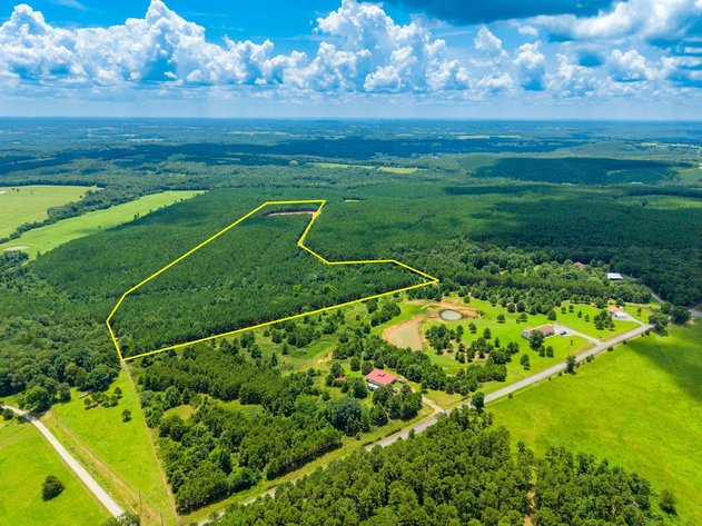 84± ACRE ONLINE ONLY LAND AUCTION | QUITMAN, AR