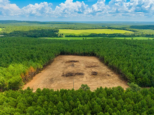 84± ACRE ONLINE ONLY LAND AUCTION | QUITMAN, AR