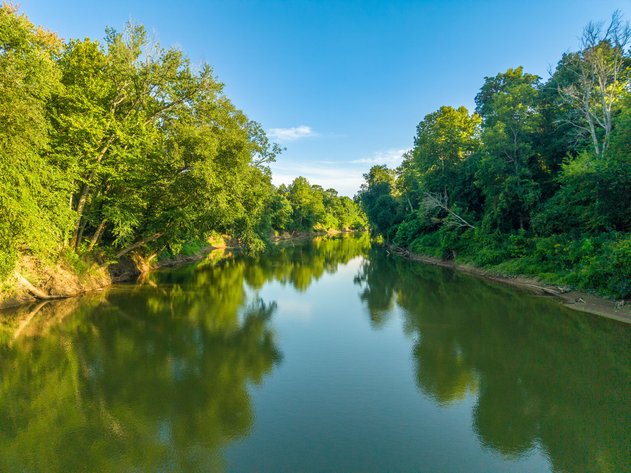 93± ACRE SALINE COUNTY NO RESERVE RIVERFRONT LAND AUCTION | BENTON, AR