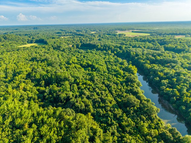 93± ACRE SALINE COUNTY NO RESERVE RIVERFRONT LAND AUCTION | BENTON, AR