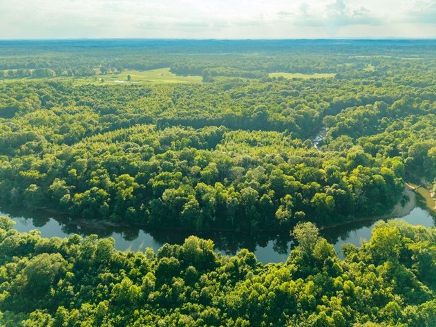 93± ACRE SALINE COUNTY NO RESERVE RIVERFRONT LAND AUCTION | BENTON, AR