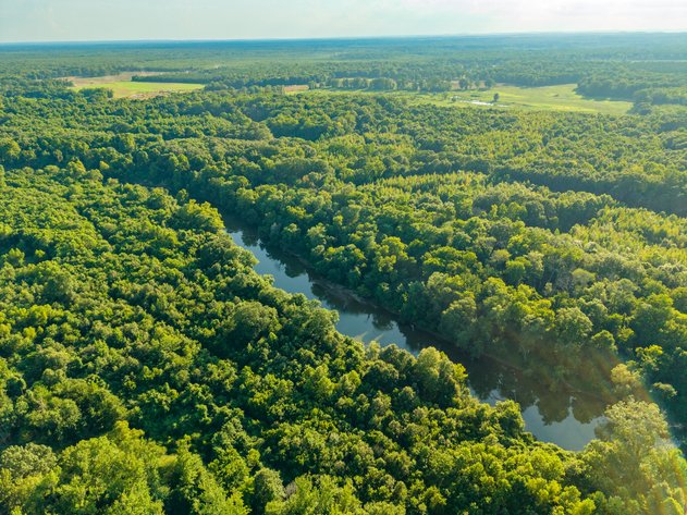 93± ACRE SALINE COUNTY NO RESERVE RIVERFRONT LAND AUCTION | BENTON, AR