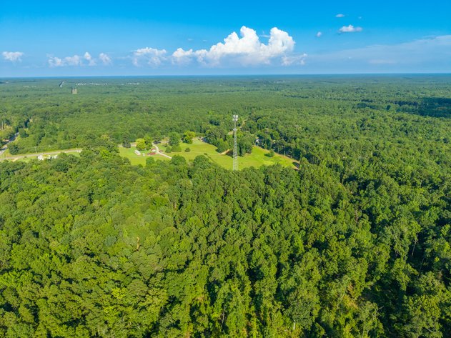 22.5± ACRE SALINE COUNTY HOMES & DEVELOPMENT LAND AUCTION | BENTON, AR