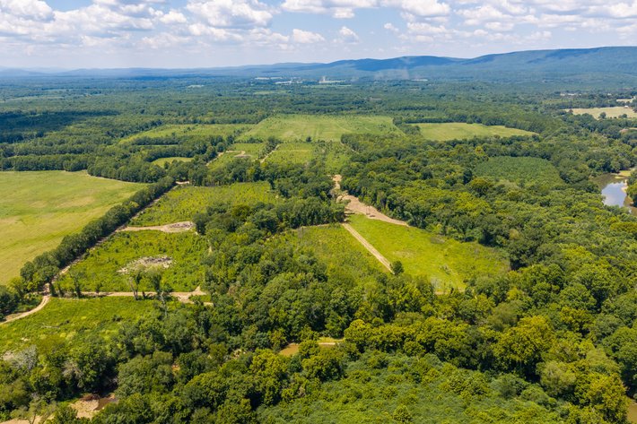 325± ACRE YELL COUNTY LAND AUCTION | BLUFFTON, AR