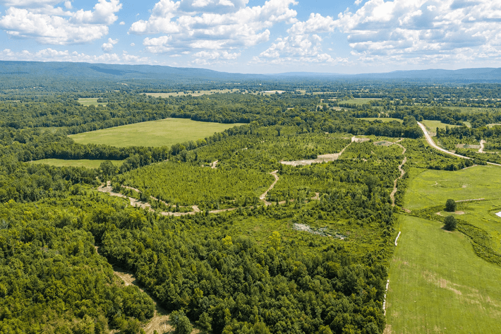 325± ACRE YELL COUNTY LAND AUCTION | BLUFFTON, AR
