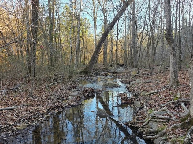 ONLINE ONLY NO RESERVE LAND AUCTION | HEBER SPRINGS, AR