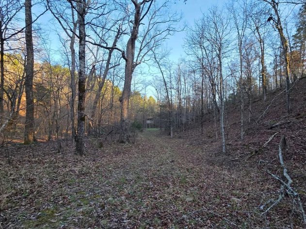 ONLINE ONLY NO RESERVE LAND AUCTION | HEBER SPRINGS, AR