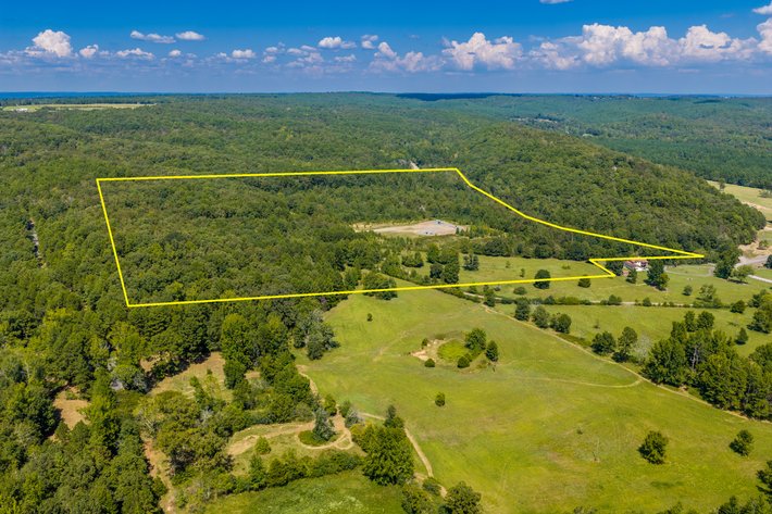 ONLINE ONLY COURT ORDERED LAND AUCTION | BEE BRANCH, AR