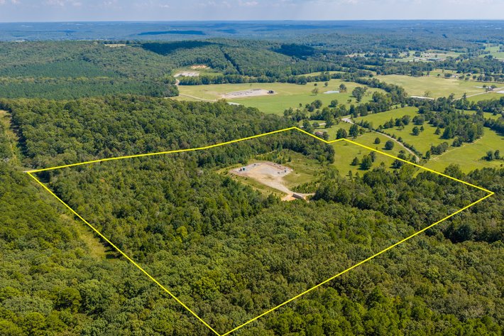 ONLINE ONLY COURT ORDERED LAND AUCTION | BEE BRANCH, AR