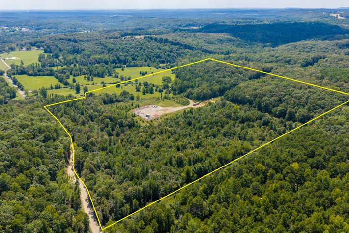 ONLINE ONLY COURT ORDERED LAND AUCTION | BEE BRANCH, AR