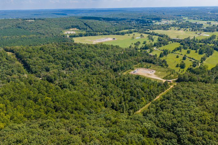 ONLINE ONLY COURT ORDERED LAND AUCTION | BEE BRANCH, AR