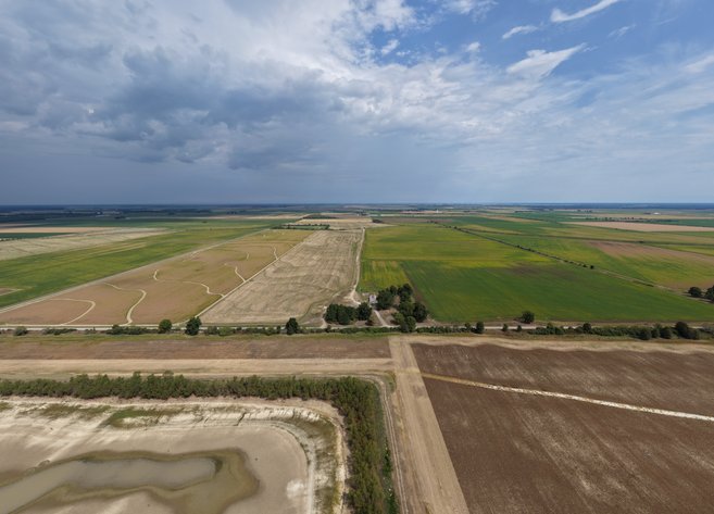 385± ACRE ROW CROP FARM AUCTION | STUTTGART, AR