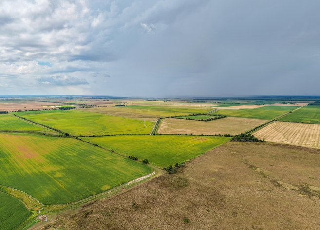 385± ACRE ROW CROP FARM AUCTION | STUTTGART, AR
