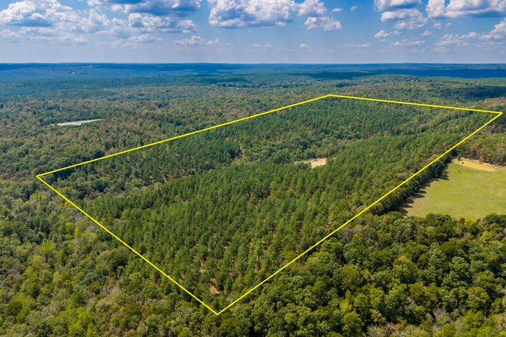 ONLINE ONLY NO RESERVE LAND AUCTION | HEBER SPRINGS, AR