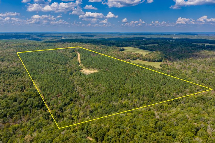 ONLINE ONLY NO RESERVE LAND AUCTION | HEBER SPRINGS, AR