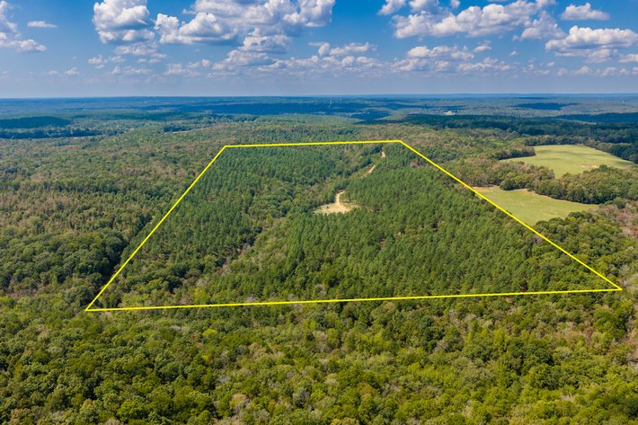 ONLINE ONLY NO RESERVE LAND AUCTION | HEBER SPRINGS, AR