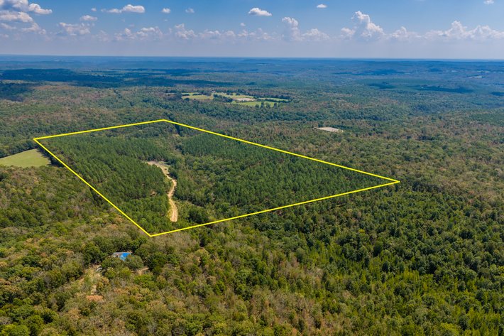 ONLINE ONLY NO RESERVE LAND AUCTION | HEBER SPRINGS, AR