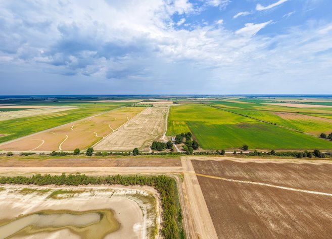 385± ACRE ROW CROP FARM AUCTION | STUTTGART, AR