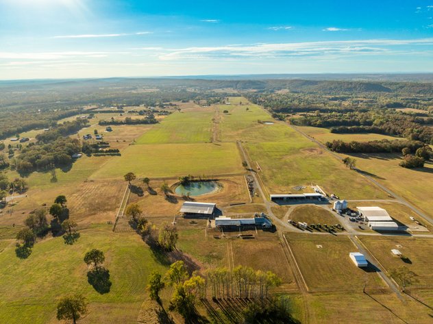 275± ACRE LIGHTNING F LAND & CATTLE NO RESERVE FARM AUCTION | ENOLA, AR
