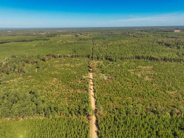 ONLINE ONLY NO RESERVE 117± ACRE DALLAS COUNTY LAND AUCTION | SPARKMAN, AR