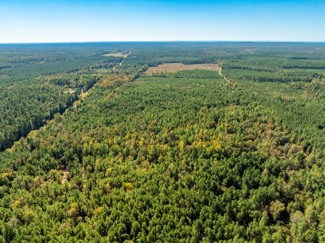 ONLINE ONLY NO RESERVE 117± ACRE DALLAS COUNTY LAND AUCTION | SPARKMAN, AR