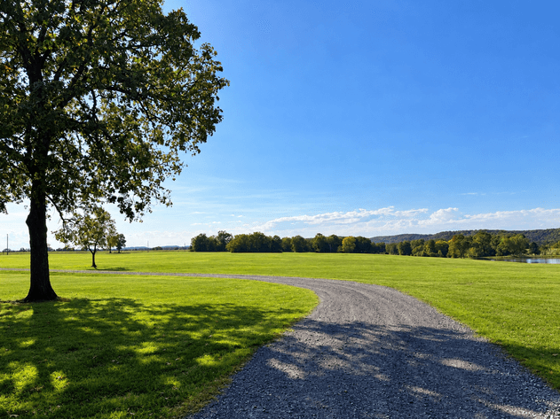 LIGHTNING F LAND & CATTLE NO RESERVE FARM AUCTION | ENOLA, AR