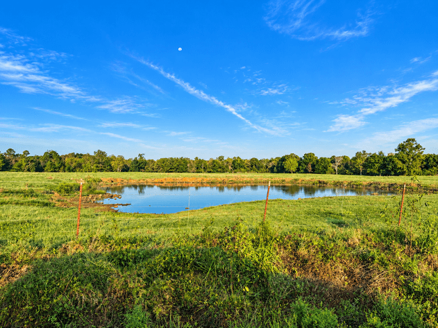 350± ACRE SCOTT COUNTY NO RESERVE RIVERFRONT LAND AUCTION | PARKS, AR