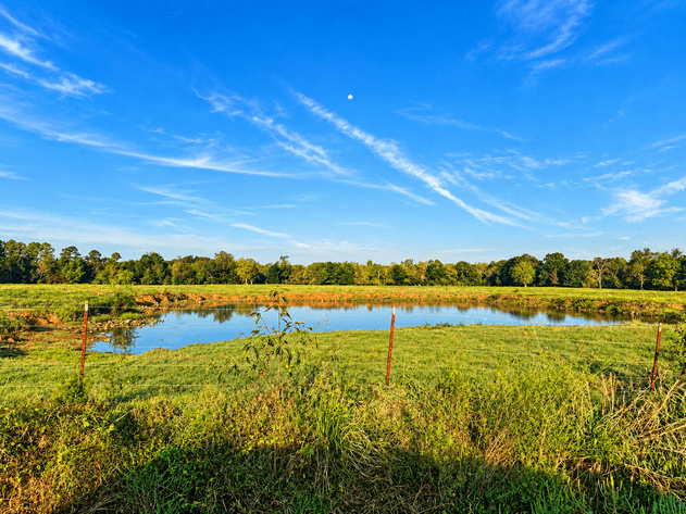 350± ACRE SCOTT COUNTY NO RESERVE RIVERFRONT LAND AUCTION | PARKS, AR