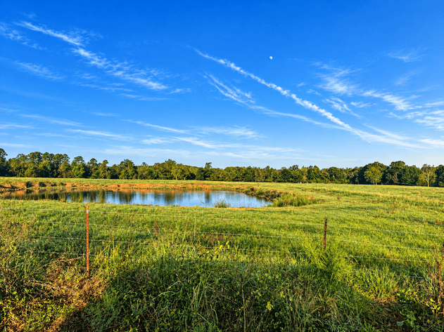 350± ACRE SCOTT COUNTY NO RESERVE RIVERFRONT LAND AUCTION | PARKS, AR