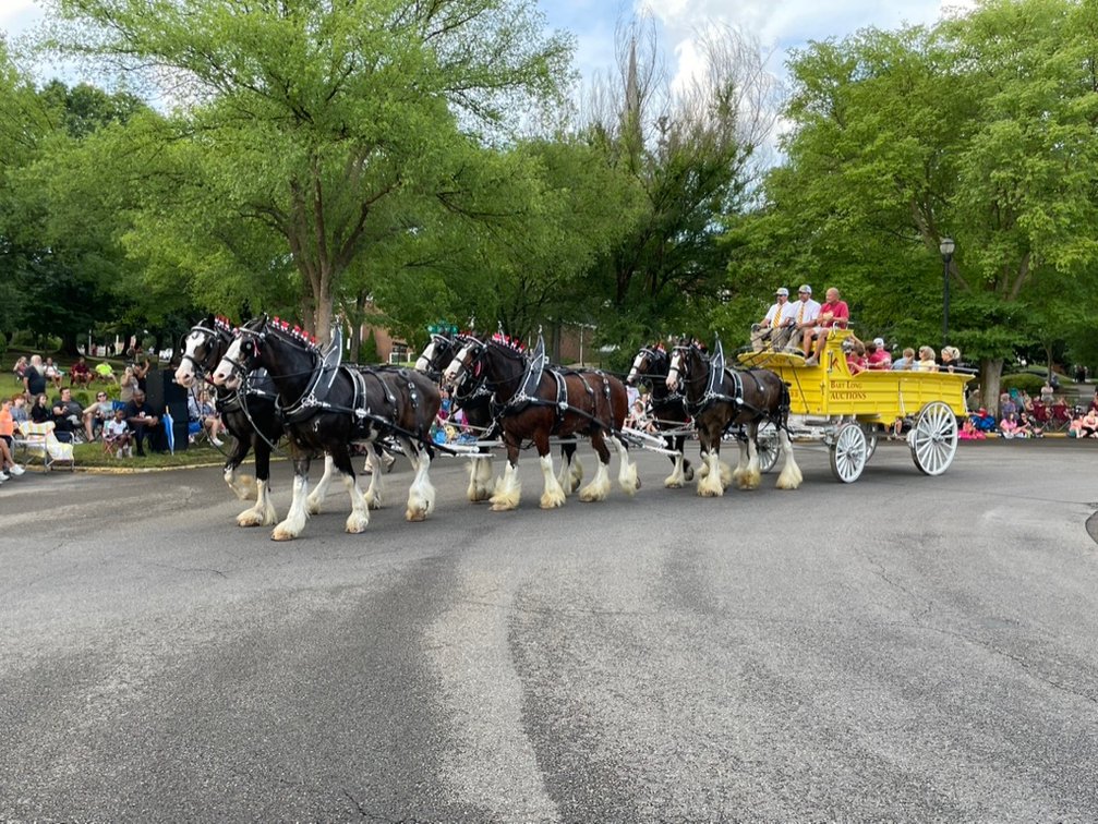 Image for SATURDAY MARCH 16TH & 17TH CLYDESDALES @ THE FARM SHOW