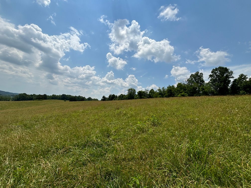 Image for STONYBROOK RD.  MEADOWVIEW, VA