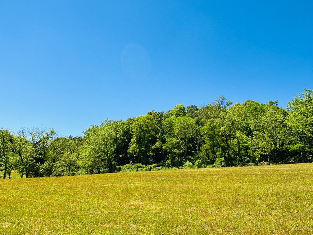 Image for HWY 75 / GREEN SPRING RD  ABINGDON, VA 24211