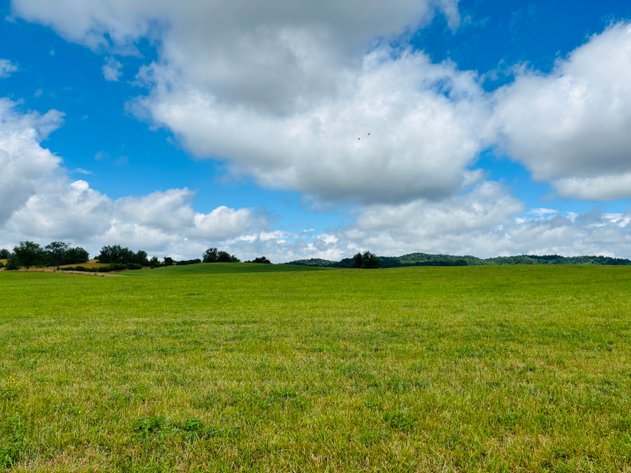 71 ACRES +/-  CLEVELAND ROAD  ABINGDON, VA 24211