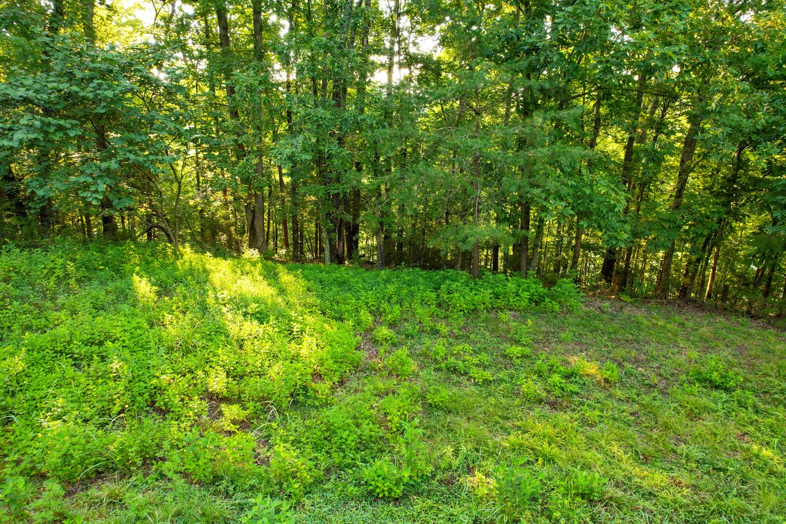 Image for 121 POINTE DR.  PINEY FLATS, TN 37686