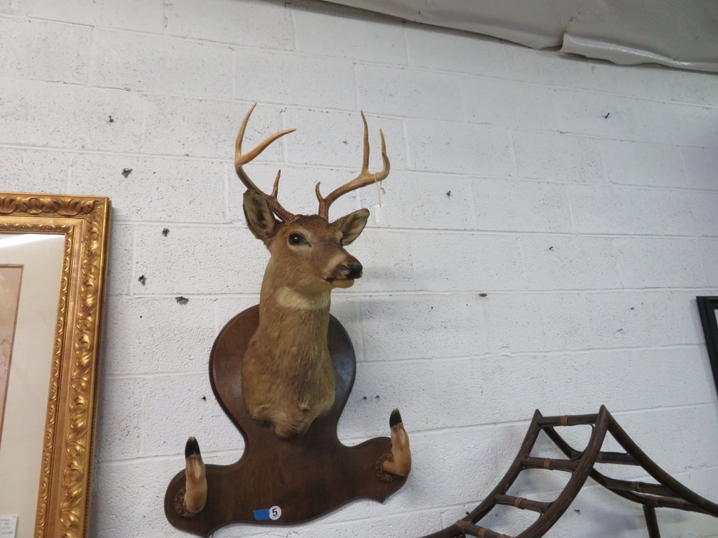 Image for Antique and Collectible Sale!