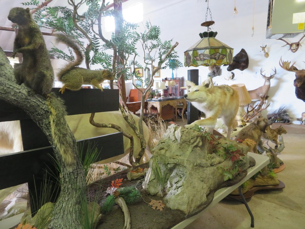 Image for Sportsman and Tremendous Taxidermy Sale