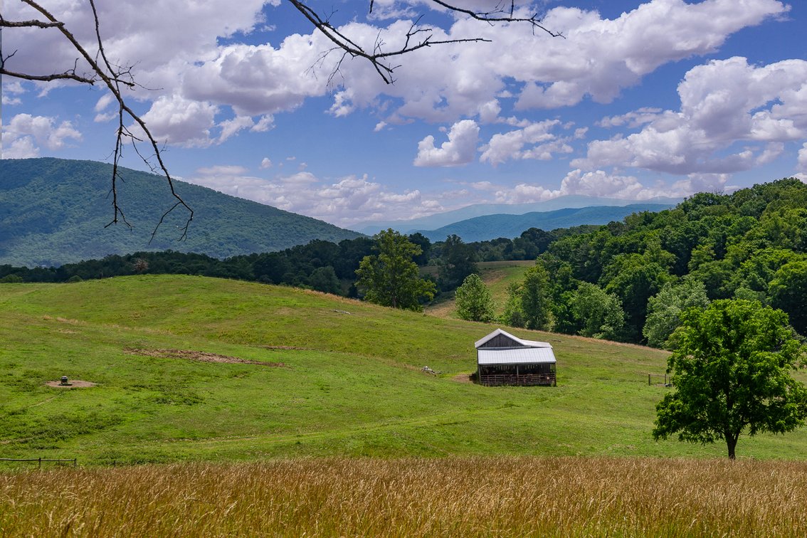 Image for Rose Hill Farm Real Estate Auction – 84± Acre Farm