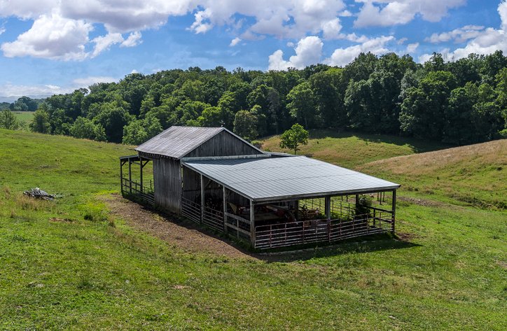 Image for Rose Hill Farm Real Estate Auction – 84± Acre Farm