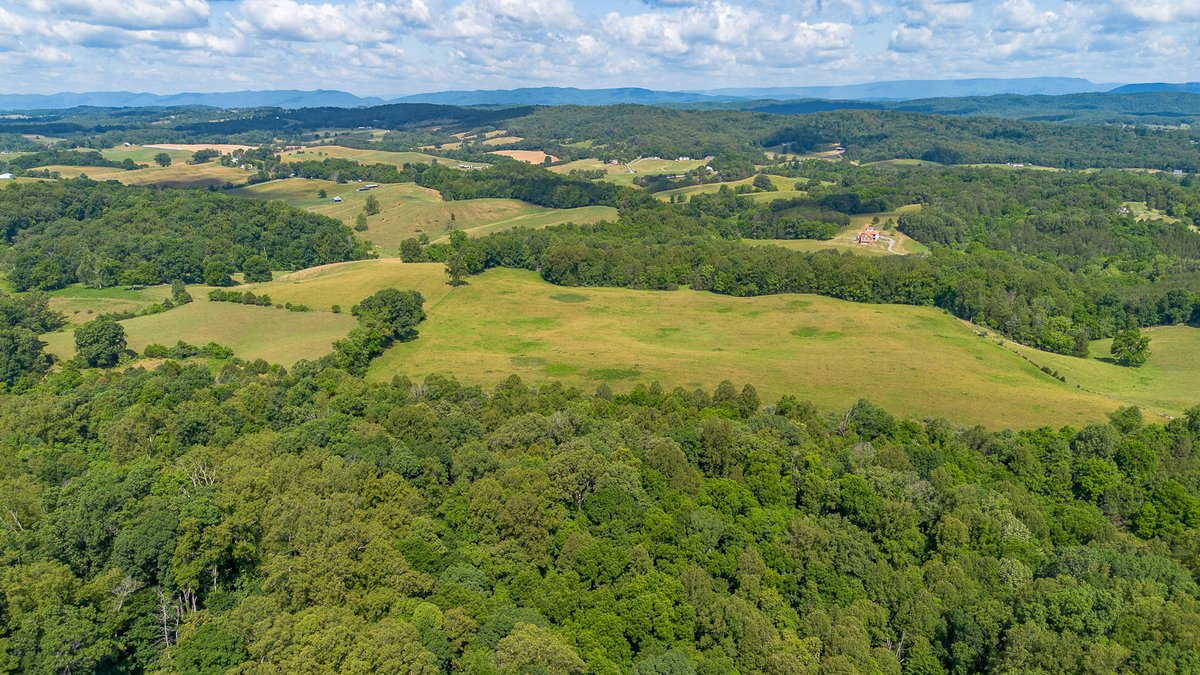 Image for Rose Hill Farm Real Estate Auction – 84± Acre Farm