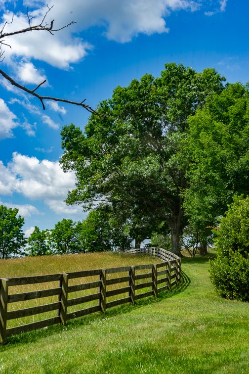 Image for Rose Hill Farm Real Estate Auction – 84± Acre Farm
