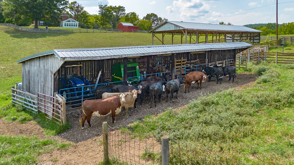Image for Rose Hill Farm Real Estate Auction – 84± Acre Farm