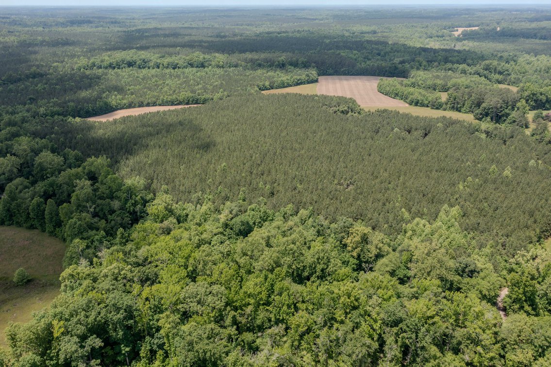 Image for SOLD: $525,000 — Pre-Auction Success for Amelia County Country Home