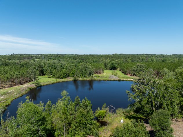Image for ONLINE AUCTION - 79 Acres & Home in Toombs County, GA