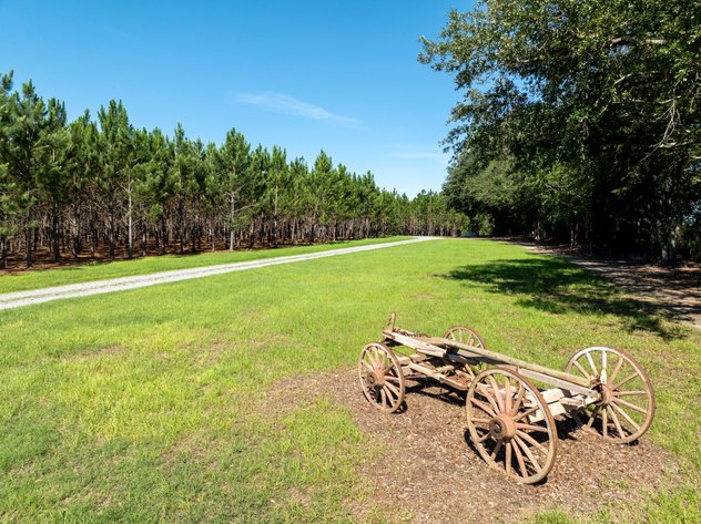 Image for ONLINE AUCTION - 79 Acres & Home in Toombs County, GA