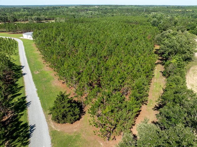 Image for ONLINE AUCTION - 79 Acres & Home in Toombs County, GA