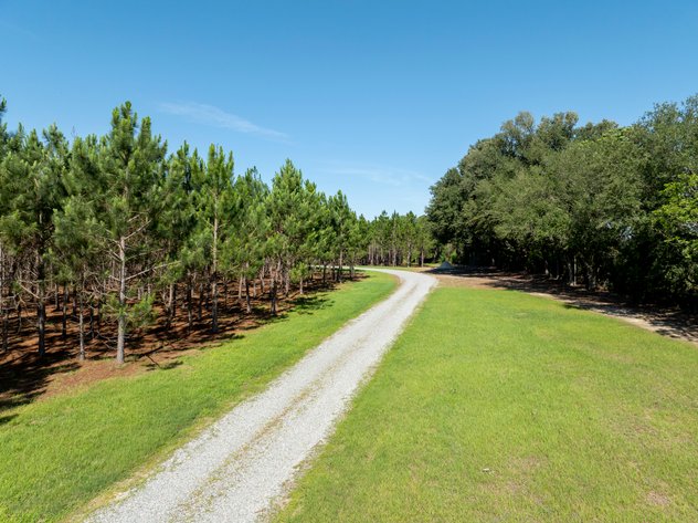Image for ONLINE AUCTION - 79 Acres & Home in Toombs County, GA