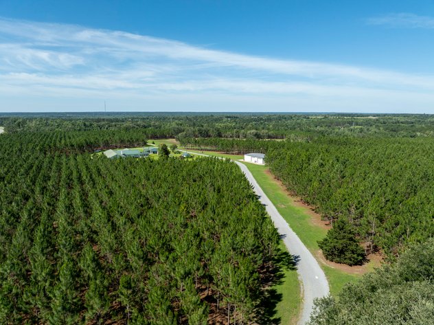 Image for ONLINE AUCTION - 79 Acres & Home in Toombs County, GA